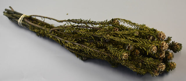 Image for Creanga tortum prep.verde