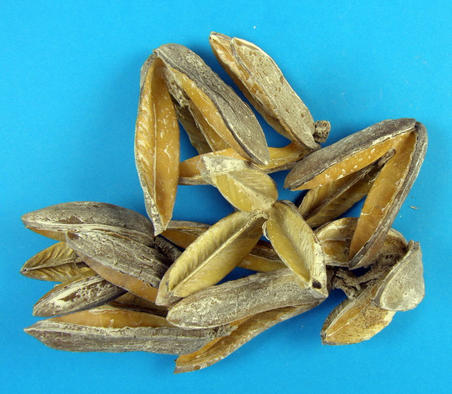 Image for Tridente cu chiciura