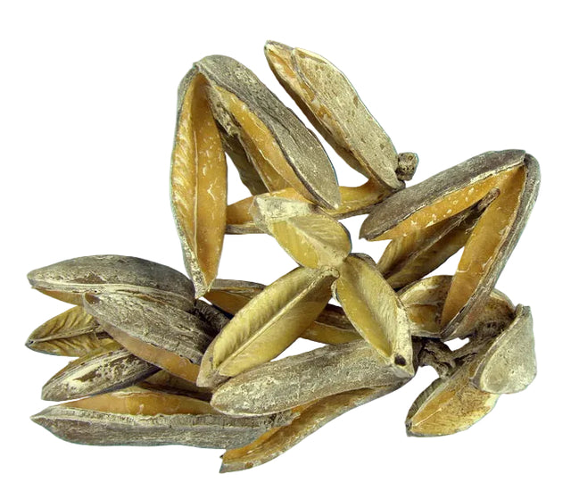 Image for Tridente cu chiciura