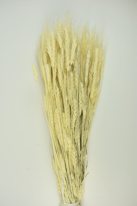 Image for Grau inalbit