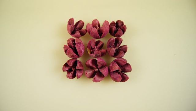 Image for Roade lalea inalbit mov