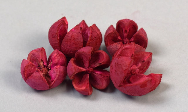 Image for Roade lalea inalbit rosu