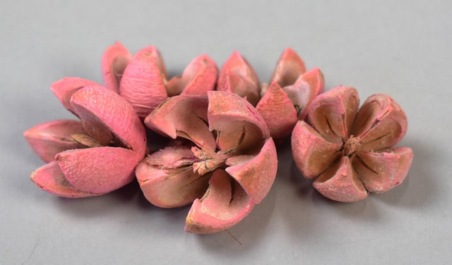 Image for Roade lalea inalbit roz