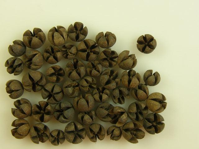 Image for Roade lalea natur