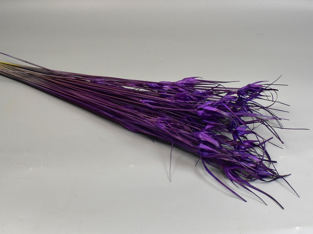 Image for Iarba de lalele mov