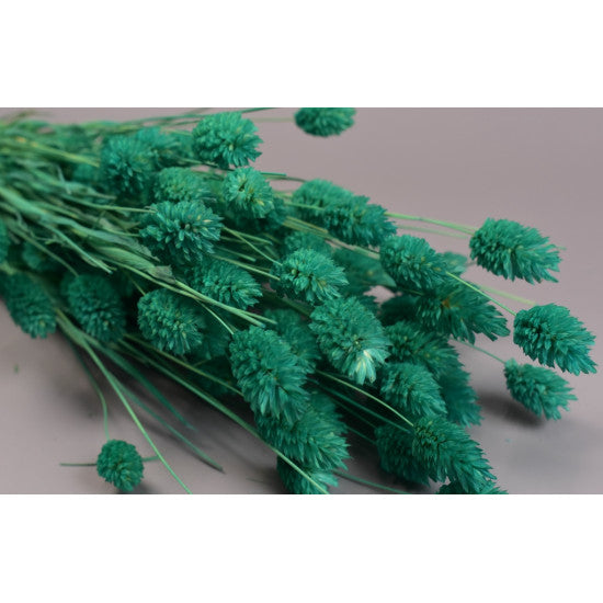 Tallaris 100gr inalbit turcoaz