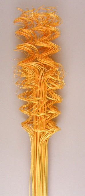 Image for Twisted tamboo cul. caise