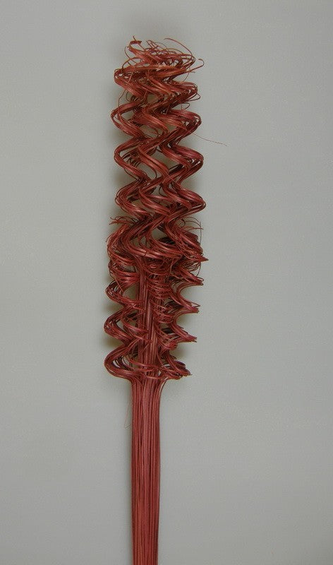 Image for Twisted tamboo bordo