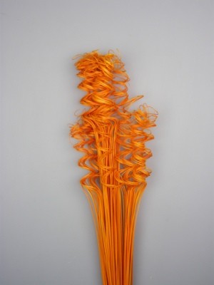 Image for Twisted tamboo inalbit portocaliu