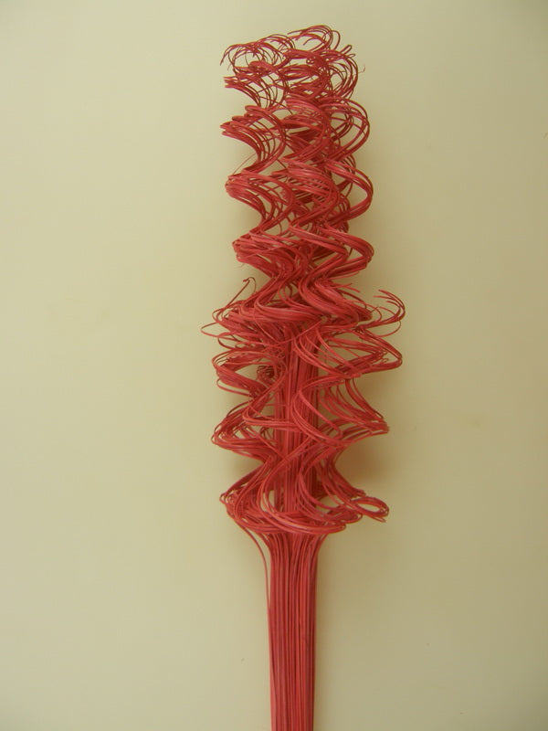 Image for Twisted tamboo rosu