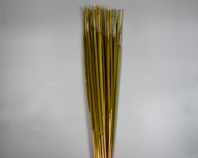 Image for Typha India verde deschis