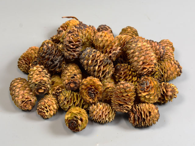 Image for Ugie natur