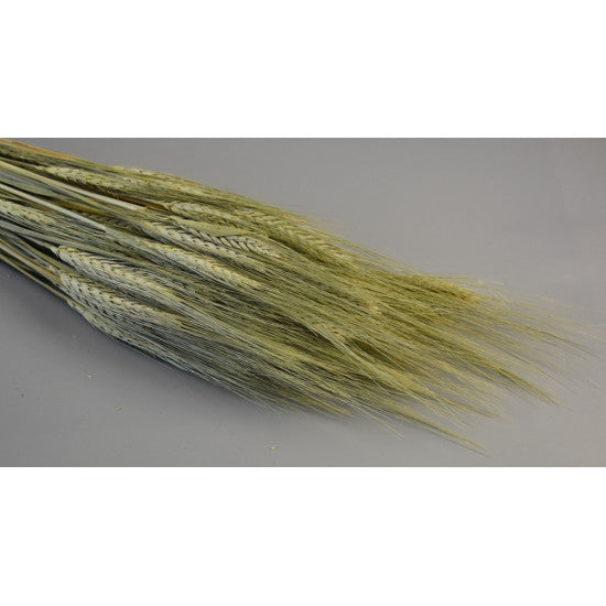 Grau cu spic lung 150g natur