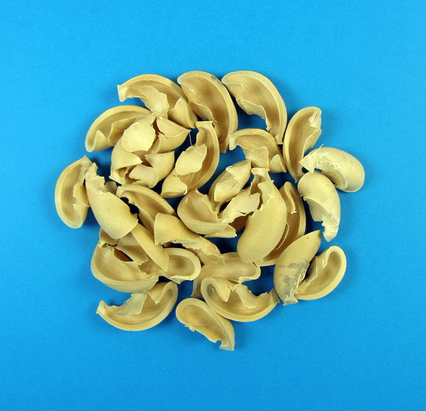 imagine produs Urechisori inalbite