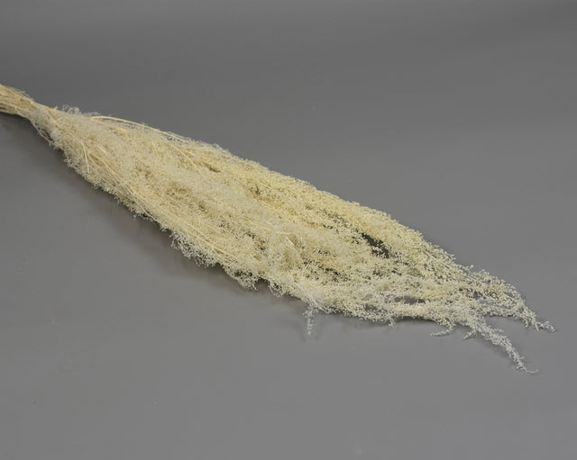 Image for Creanga voal prep.inalbit