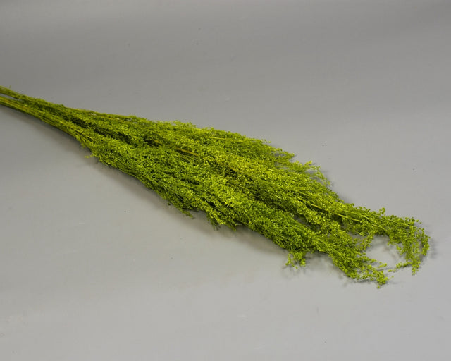 Image for Creanga voal prep. oliv