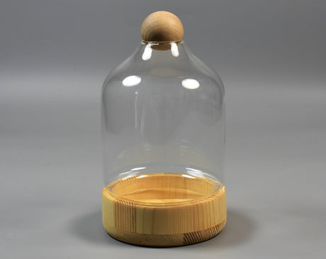 Image for Bol din sticla/lemn 12x22cm