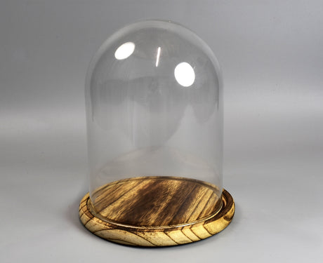 Image for Cupola din sticla 15x20cm