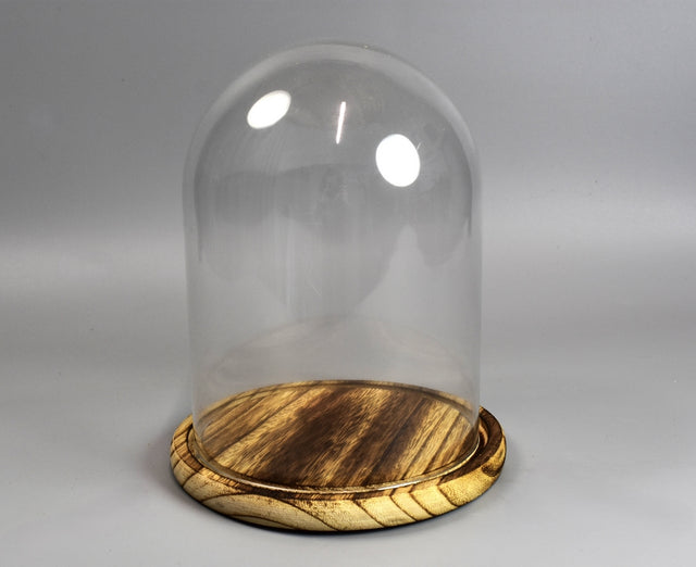 Image for Cupola din sticla 15x20cm