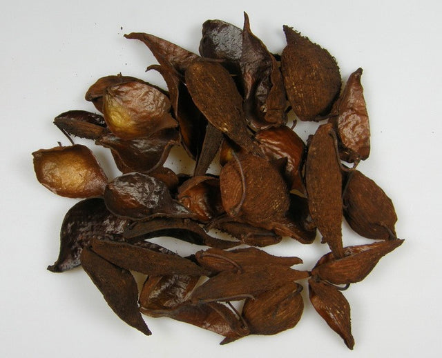 Image for Tutun salbatic maro