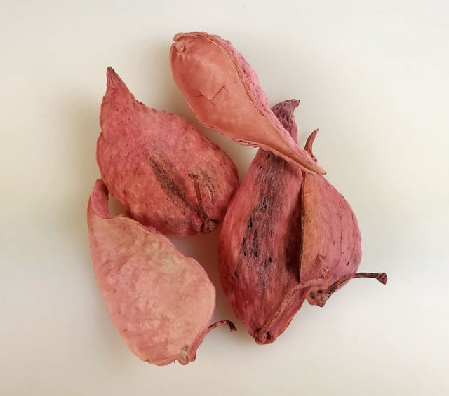 Image for Tutun salbatic inalbit roz