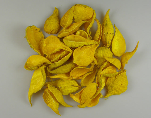 Image for Tutun salbatic inalbit galben