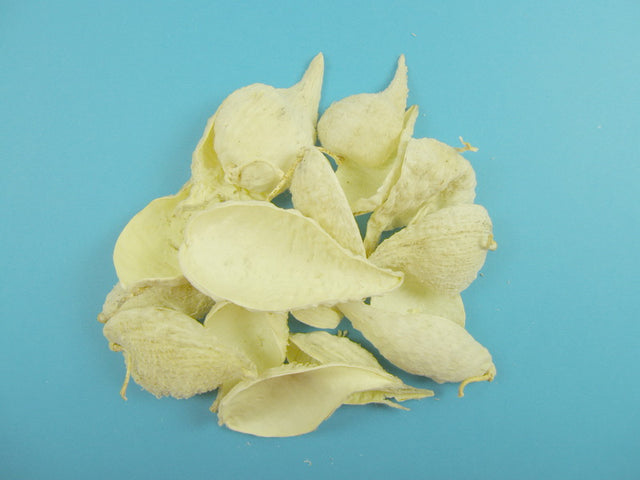 Image for Tutun salbatic inalbit