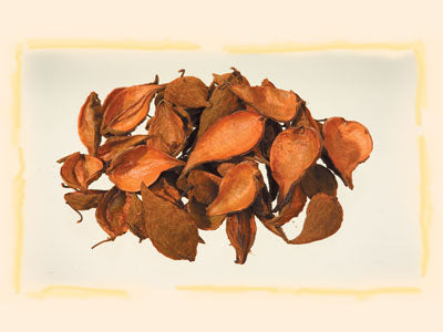 Image for Tutun salbatic portocaliu