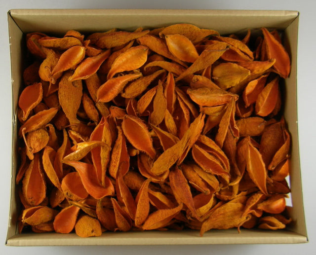 Image for Tutun salbatic portocaliu