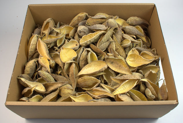 Image for Tutun salbatic natur 0.45kg