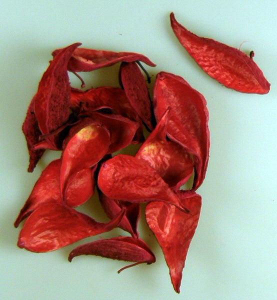 Image for Tutun salbatic rosu