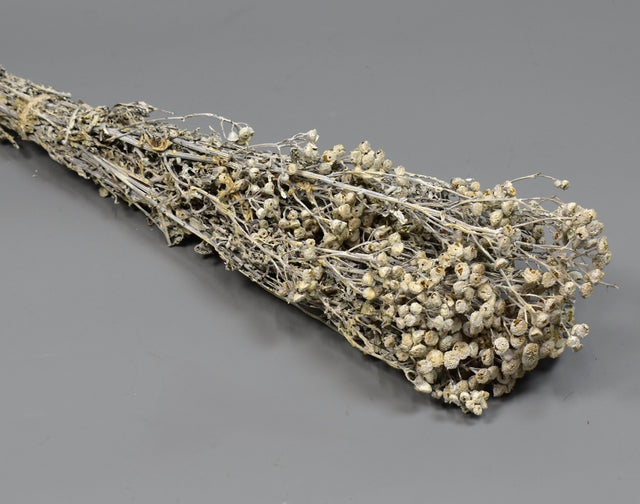 Image for Vetrice vopsit alb