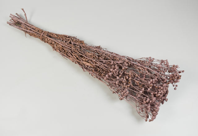 Image for Vetrice vopsit nalba