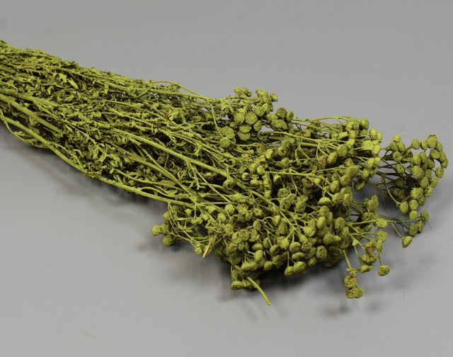 Image for Vetrice vopsit verde oliv