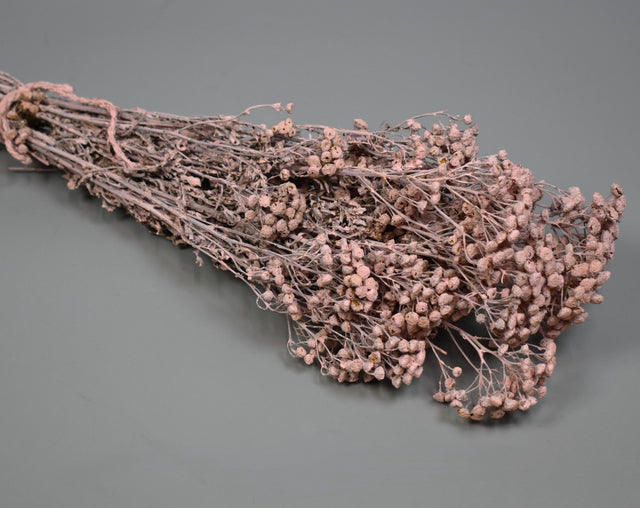 Image for Vetrice vopsit roz