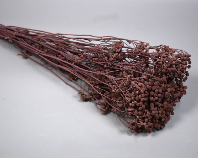 Image for Vetrice vopsit mure