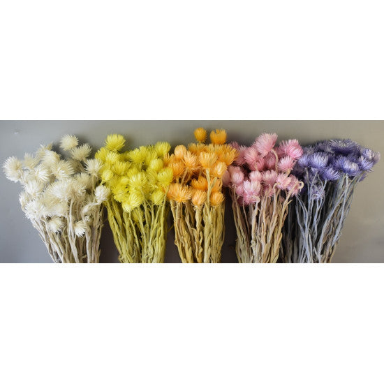 Buchet capblume 30-40cm piersica