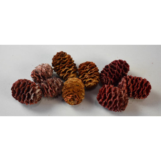 Meridianum rosu