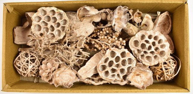 Image for Plante uscate mixt cerat cappucino