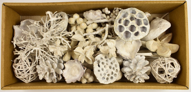 Image for Plante uscate mixt cerat alb