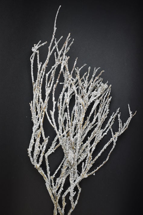 Image for Legatura vity gally brumat