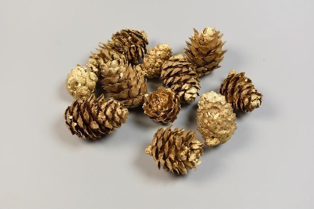 Image for Conuri de larici aurii