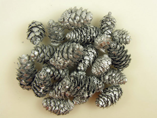 Image for Conuri de larici vopsit argintiu