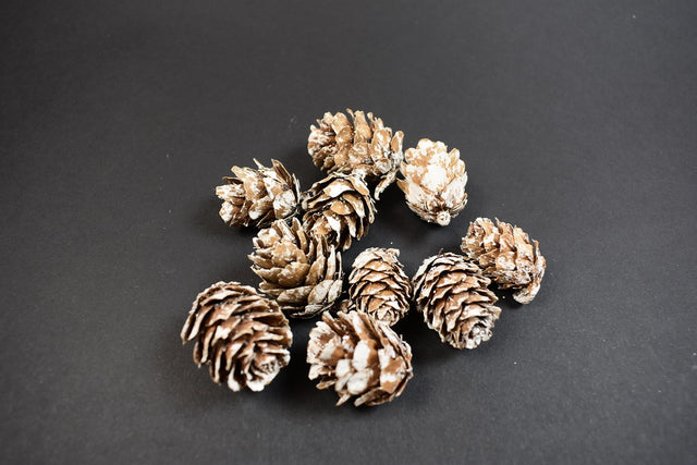 Image for Conuri de larici chinezesc inzapezit