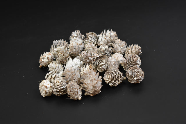 Image for Con Chinezesc cu chiciura