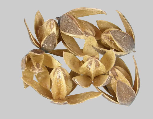 Image for Wild lily cu chiciura