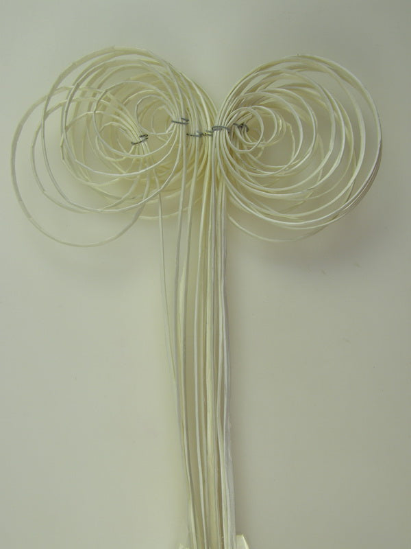 Image for Fire willow indoite alb