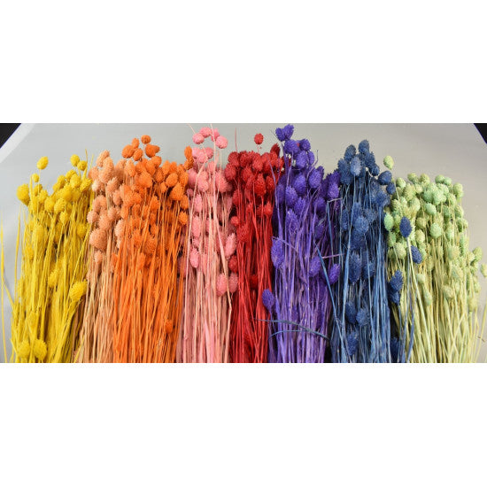 Tallaris 100gr inalbit roz