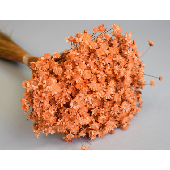 Glixia 50g piersica