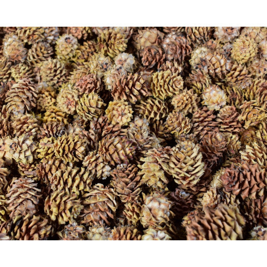 Salignum natur 2kg